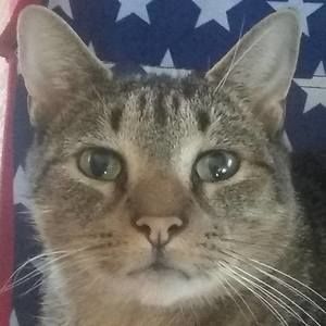 Meet your Posher, Patricia